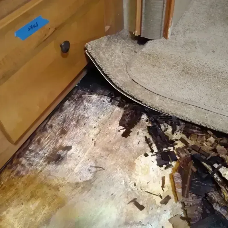 Best Wood Floor Water Damage Service in Fort Dodge, IA